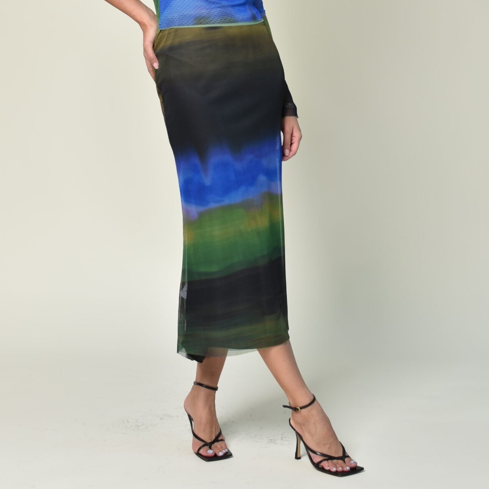 Zara Mesh Ombré Skirt
